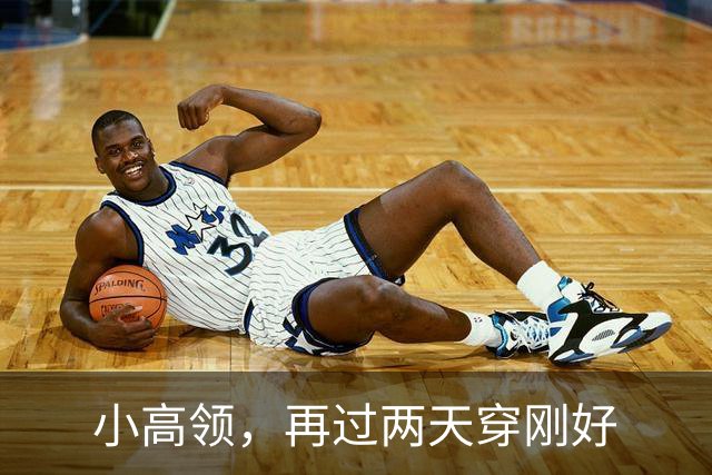 小高领，再过两天穿刚好